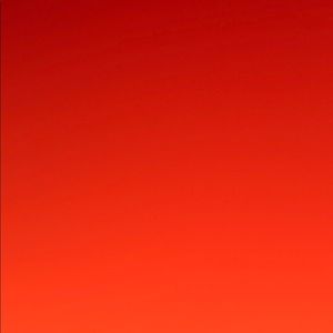 Meet your Posher, Hector